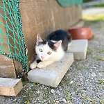 Zum Klammlhof דירה