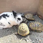 Zum Klammlhof דירה