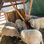 Zum Klammlhof דירה