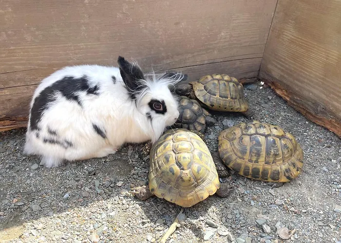 Zum Klammlhof Apartament