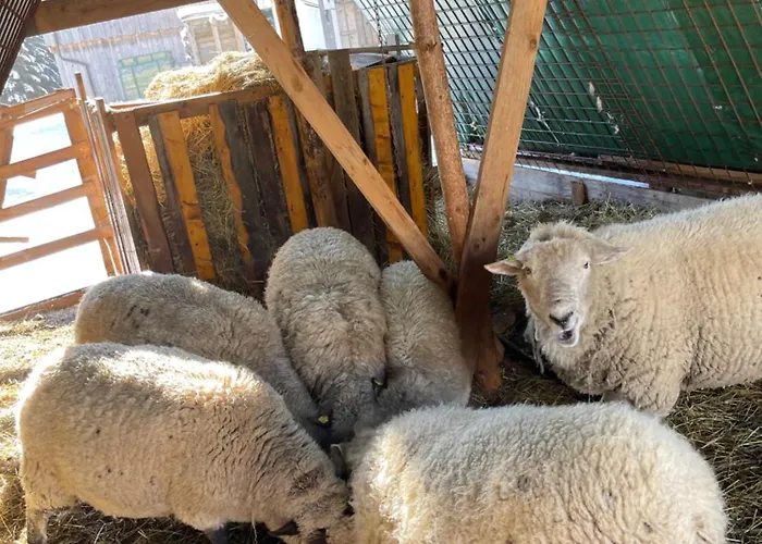 Zum Klammlhof Apartament